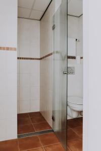 斯希蒙尼克奥赫Hotel De4dames的一间带卫生间和玻璃淋浴间的浴室