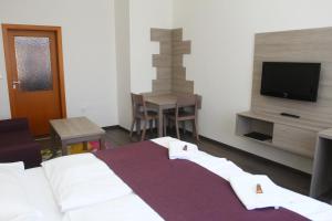 俄斯特拉发艾丽卡广场酒店的一间卧室配有一张床、一台电视和一张桌子
