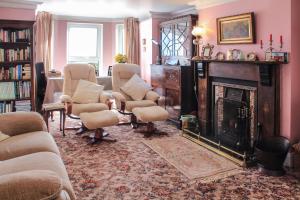 邓吉文Ballyhargan Farm House的客厅配有椅子和壁炉