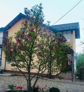 特鲁斯卡韦茨Villa Yaryna的紫色花房前的树