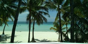 长滩岛蓝色海浪沙滩小屋住宿加早餐旅馆的享有棕榈树海滩和大海的景色