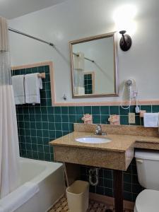 Glennville格伦维尔奇瑞奥酒店的一间带水槽、浴缸和镜子的浴室