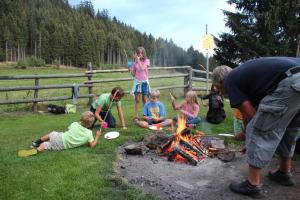 马里亚霍夫斯贝尔自然公园农家乐的一群孩子围坐在火炉旁