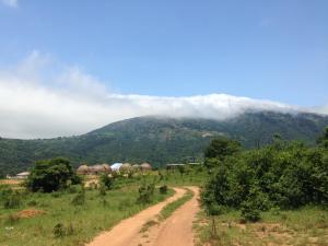 UsutuSwazi Dreams. (Nqabaneni Eco-Volunteering.)的山地中的土路