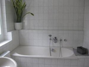 OschatzFerienwohnung mit Aegidienblick的白色浴缸,上面有盆栽植物