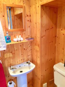 瑟索Windhaven Camping and B&B的一间带水槽和卫生间的浴室