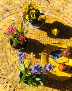 莱切萨伦托别墅的桌子上放着一些植物和花