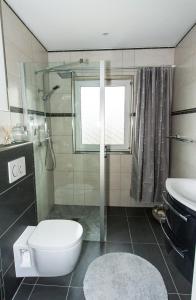 Neuendorf HeideFerienhaus Harmonia的浴室配有卫生间、淋浴和盥洗盆。