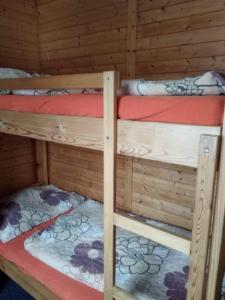 Jestrabi V KrkonosichPenzion Roudenka的小屋内的两张双层床