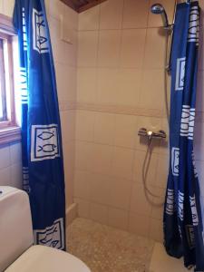 弗罗达尔Nedre Strand Hytteutleie的一间带蓝色淋浴帘的淋浴的浴室