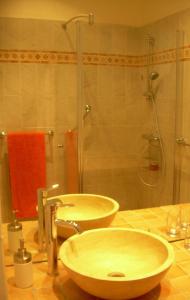 尼斯Capitole Bleu的一间带两个盥洗盆和淋浴的浴室