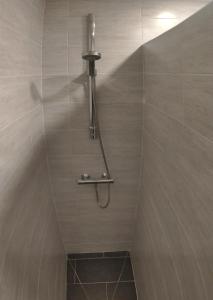 诺让莱罗特鲁Maison de ville centre Nogent le Rotrou的浴室内配有淋浴和头顶淋浴