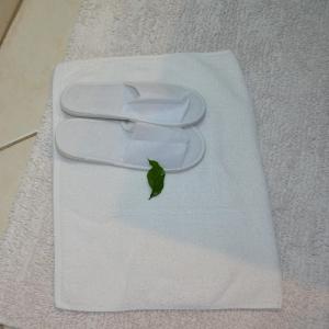 马普托Acacia Inn GuestHouse的绿叶坐在白毛巾上