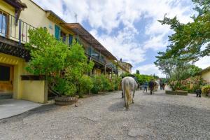 勒克弗瑞瑟地区酒店的几匹马沿着街道走