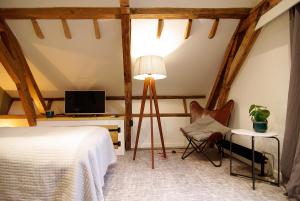 阿姆斯特丹镀金独角兽农舍酒店的一间卧室配有一张床、一台电视和一把椅子
