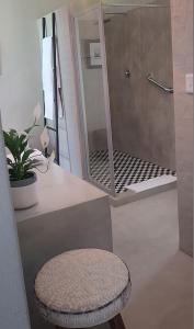 弗里尼欣Dancing River Guesthouse的浴室设有凳子和带镜子的淋浴