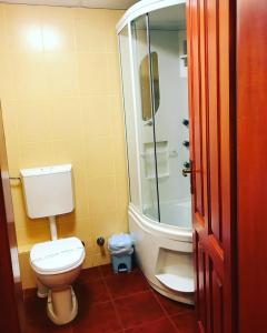 蒂米什瓦拉弗朗切斯卡酒店的一间带卫生间和淋浴的浴室