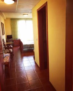 蒂米什瓦拉弗朗切斯卡酒店的带沙发和窗户的客厅