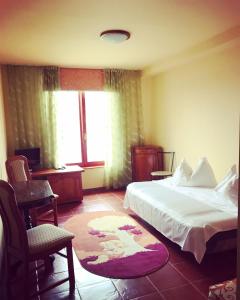 蒂米什瓦拉弗朗切斯卡酒店的酒店的客房 - 带一张床、椅子和窗户