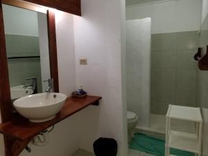 La YaguaPlaya Paraiso en Magante的一间带水槽、卫生间和镜子的浴室