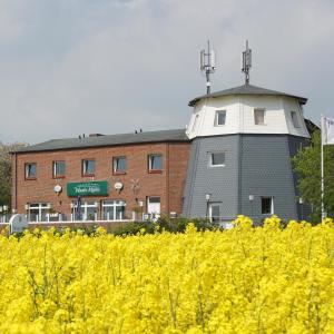 瓦布斯Landgasthof Waabs Mühle的一座建筑,在一片黄花后面有一个钟楼