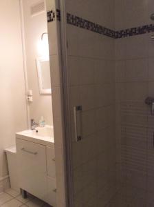 里昂甘贝塔公寓的带淋浴和盥洗盆的浴室