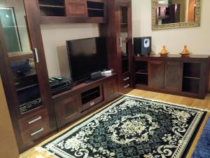 乌贝达-1-Igual que tu casa, garaje gratis, en el centro的一间带电视和地毯的客厅