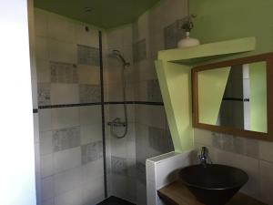 BerlingAppartement Petite Vallée的浴室配有盥洗盆和带镜子的淋浴
