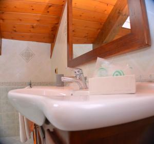 阿杰罗拉Il Pettirosso的浴室设有白色水槽和镜子