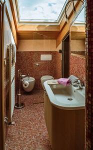 里米尼Villa con piscina a Rimini的一间带水槽和卫生间的浴室