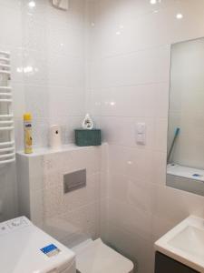 尤斯托尼莫斯基Apartament Dwie Sosny的白色的浴室设有卫生间和水槽。