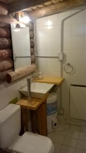 波特雷里约斯Anthar Andes的浴室配有白色卫生间和盥洗盆。