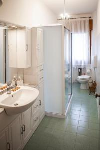 梅斯特Casa Carlotta的一间带水槽、淋浴和卫生间的浴室
