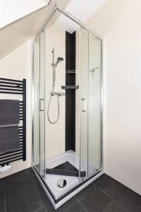 纽哈灵吉塞尔Hotel garni Haus am Meer的浴室设有玻璃淋浴间