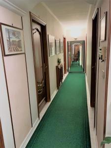 都灵HOTEL ELENA的走廊上铺着绿色地毯的走廊
