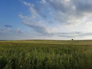 NováčanyBIO Farma & Penzión Zlatý Hýľ的一片蓝天云的草地