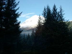 西沃德Glacier Creek Lodging的树木中间的雪覆盖的山