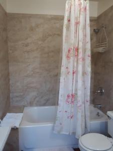 圣巴巴拉秘密花园别墅酒店的带浴缸、卫生间和淋浴帘的浴室