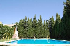 MollinaCortijo Jabonero的一座树木繁茂的庭院内的游泳池