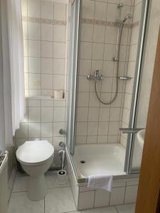 特罗辛根Linde Restaurant & Hotel的带淋浴和卫生间的浴室