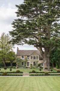 莱奇莱德Thyme的房子前面的一棵大树