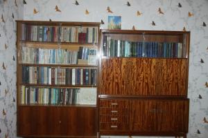 撒马尔罕YOKUB Guest House的两个装有dvd的木书架
