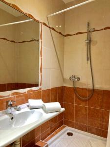 尼斯勒潘特酒店的一间带水槽和淋浴的浴室
