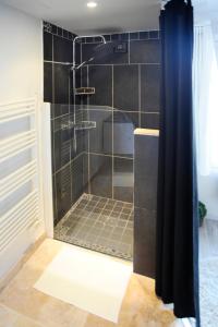 阿普特Côté Terrasse的浴室里设有玻璃门淋浴