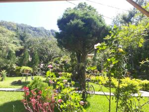 圣地亚哥阿蒂特兰Hotel y Bungalows ecologicos Marcelo的草上种着树木和花的花园