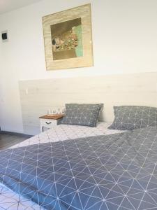 吉勒乌Casa Ryana Gilau的一间卧室配有一张带蓝色床罩的床