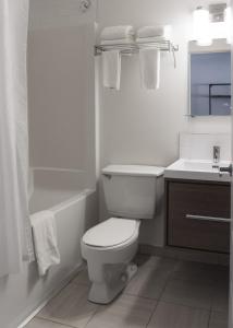 弗尼Snow Valley Lodging的白色的浴室设有卫生间和水槽。