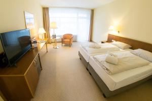 巴特亚历山大斯巴德阿莱桑德斯巴德酒店的酒店客房设有两张床和一台平面电视。