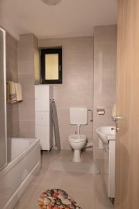北马马亚-讷沃达里Studio Ambiance , Mamaia的浴室配有白色卫生间和盥洗盆。