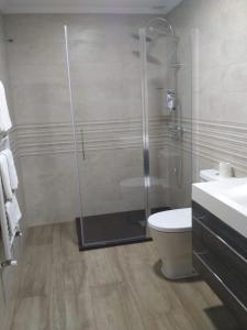 米瑟斯APARTAMENTOS CAMINO SANTO TORIBIO的带淋浴、卫生间和盥洗盆的浴室